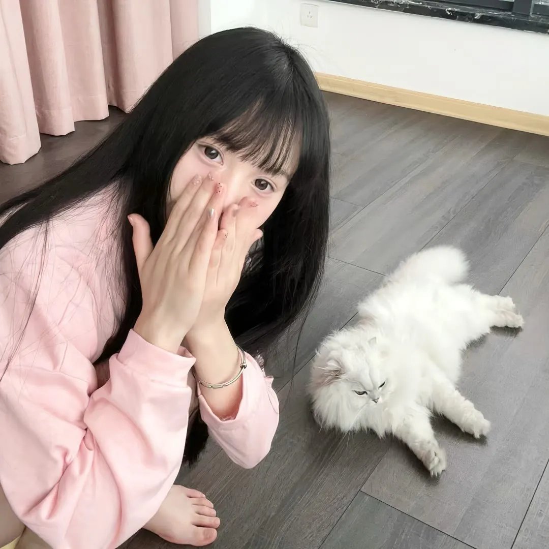 九霄龙吟传